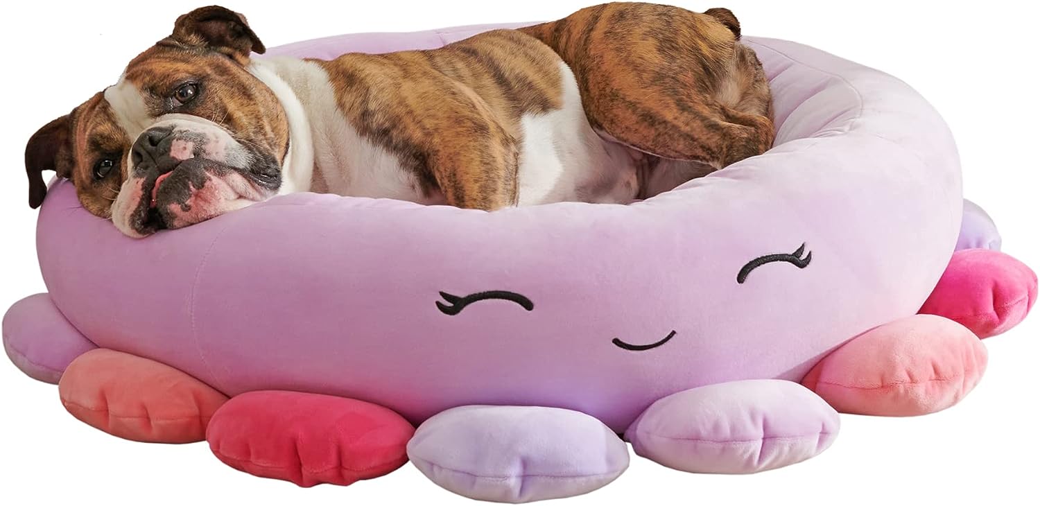 Squishmallow Pet Bed - Comfortable Options for Your Furry Friend