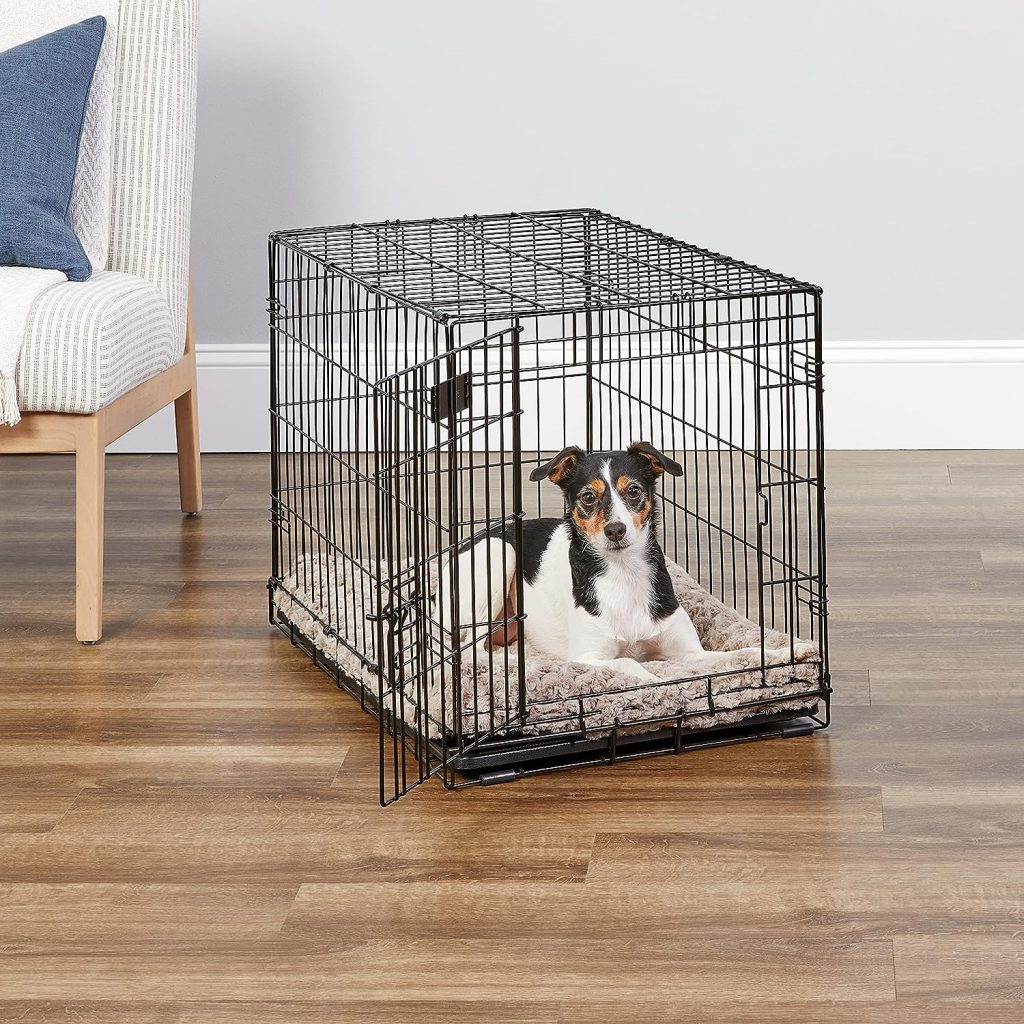 15 bestselling pet products on Amazon for your Pet